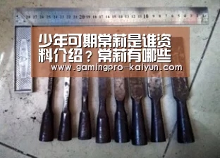 少年可期常莉是谁资料介绍?常莉有哪些高知名度的学生‘开云直播’(图3) 开云竞猜