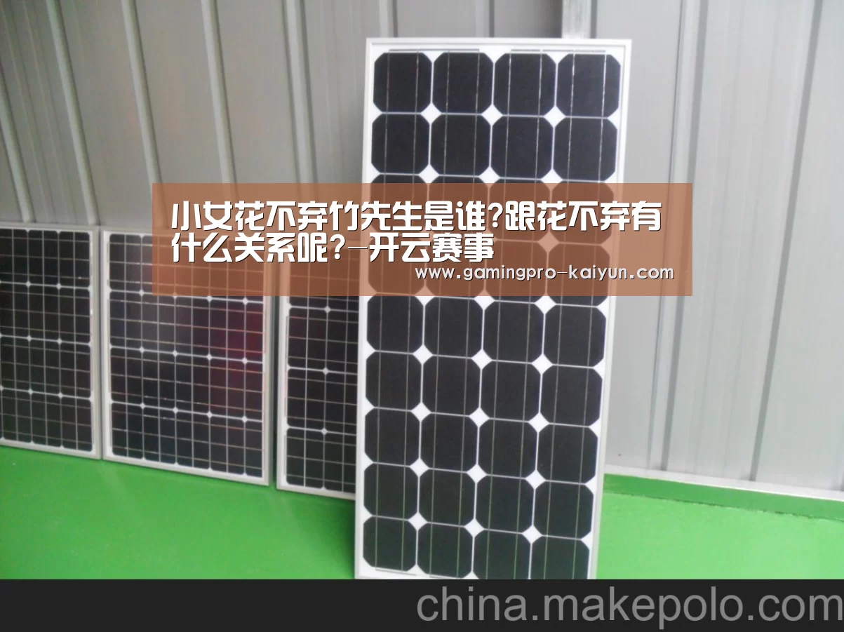小女花不弃竹先生是谁?跟花不弃有什么关系呢?-开云赛事(图1) 开云直播