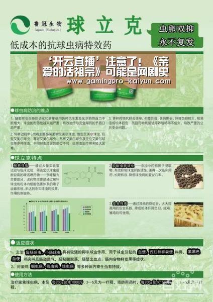 开云竞猜