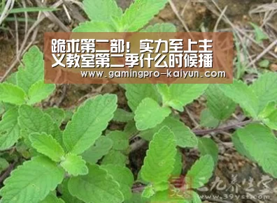 跪求第二部!实力至上主义教室第二季什么时候播出?:开云竞猜(图1) 开云竞猜